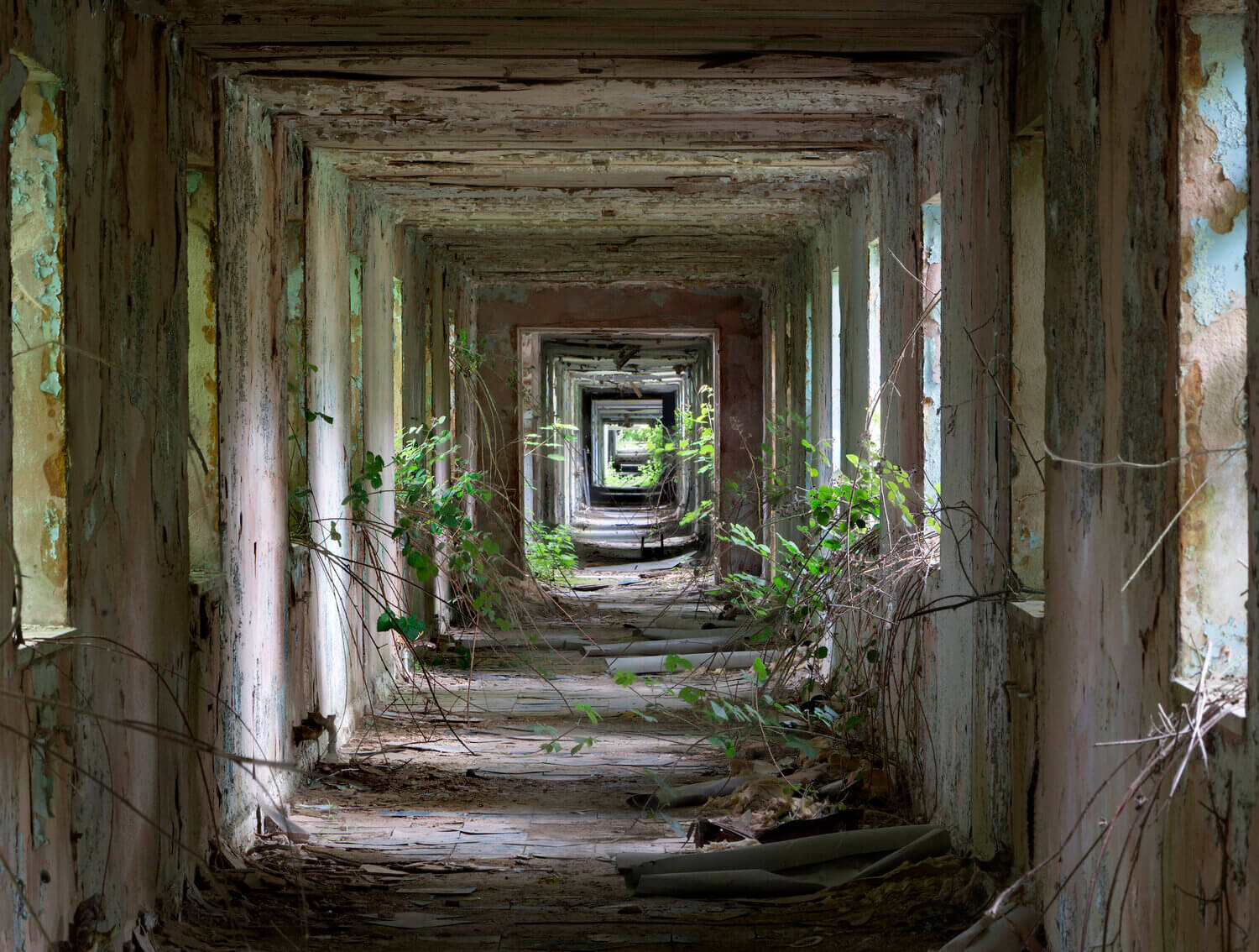 Matt Emmett's limited edition photograph of Abandoned Corridors for Forgotten Heritage